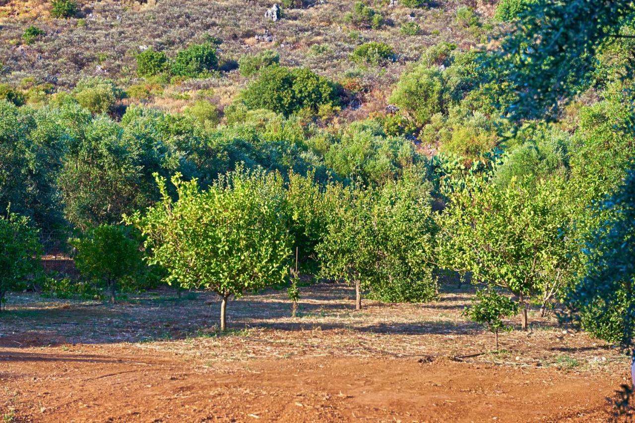 Villa Harma-Exopolis Georgioupoli Bagian luar foto